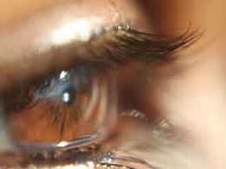 "Ketten fogtak le addig, amíg apám előtt megszégyenítettek"