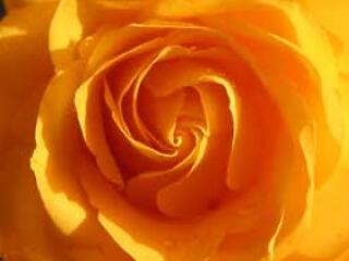 Okosak, tehetségesek és ma ünneplik a névnapjukat