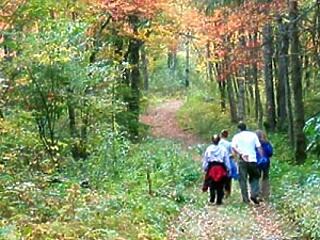 Ébrednek a kullancsok!