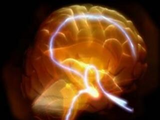 Élőhalott agysejtek