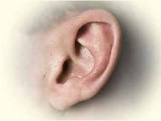 Mennyi az egészséges zsír?