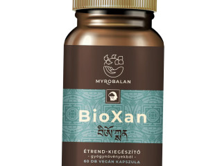 Az adaptogének szerepe a modern stresszkezelésben