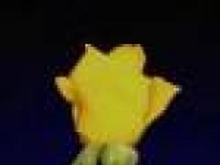 Egyszemélyes életmód klub -május