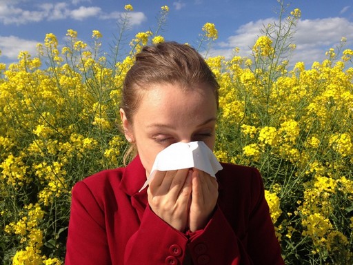 Lány tüsszög a virágok között, Kép: Budai Allergénközpont