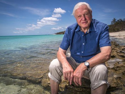 David Attenborough, Kép: wikipedia