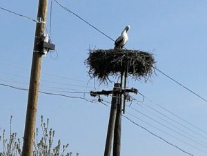 Döme ura a helyzetnek, Kép: László Márta
