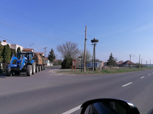 Döme, Újszász gólyája, totál, Kép: László Márta