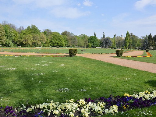 Margitsziget, rózsakert, Kép: wikimedia