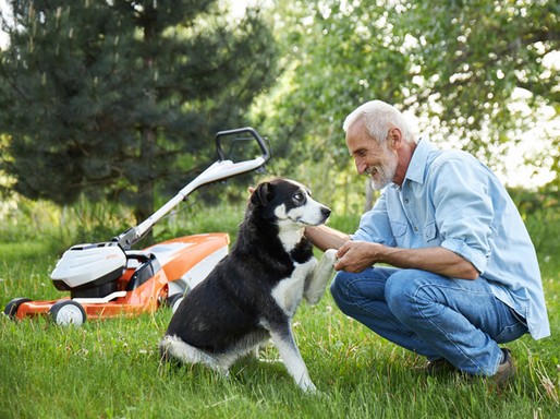 Besenyei Péter és kutyája, háttérben fűnyíró, Kép: stihl