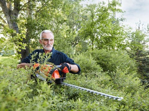 Besenyei Péter és a sövénynyírás, Kép: stihl