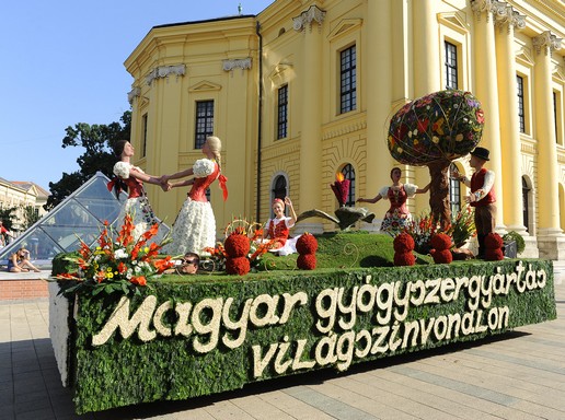 Debreceni virágkocsi 2013-ban, Kép: teva