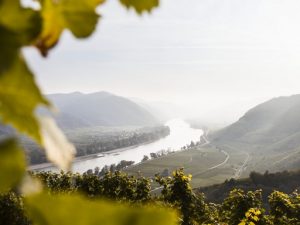 Weinherbst, Wachau, Kép: sajtóanyag