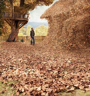 őszi kertészkedés avarral, Kép: stihl