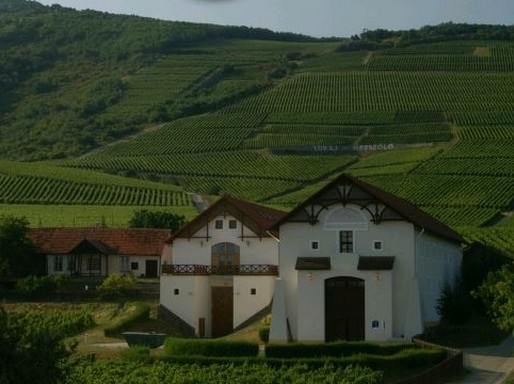 Tokaj-Hétszőlő, Kép: honlap