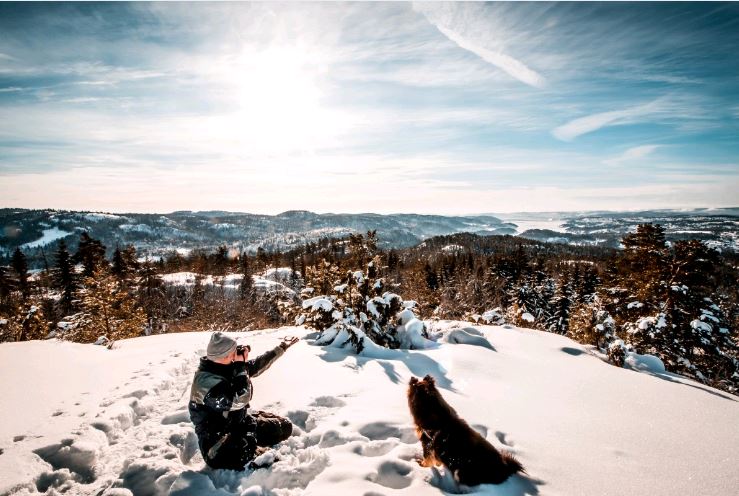 Téli hegycsúcs, fényképező ember és kutyája, Kép: pxhere