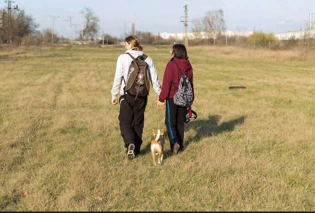 Fiatal pár kutyával sétál, Kép: flickr