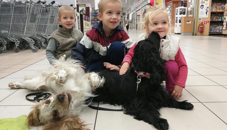 Segítő kutyák gyerekekkel, Kép: Mancsos