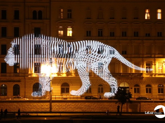 Négy éve oroszlán csatangolt Budapest utcáin. Fotó: Laluz Visuals