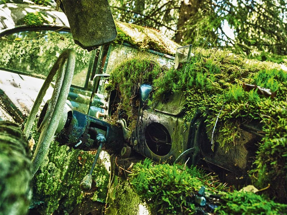Amikor a természet magáévá teszi az autó-torzót. Fotó: Dieter Klein/Teneuve via BBC