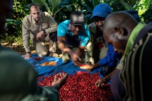 Zimbabwéban. Fotó: Nespresso