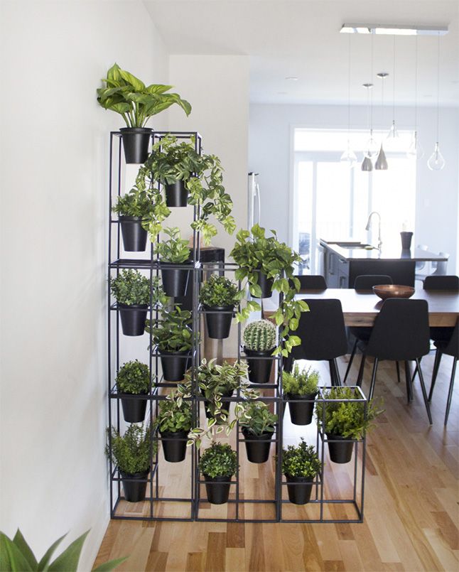 Az egyszerű tartót nagyon feldobja a rengeteg szobanövény (Fotó: Pinterest)