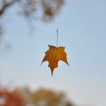 Az ősz a változásé Fotó: Pinterest