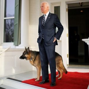 Joe Biden németjuhászával Fotó: Instagram