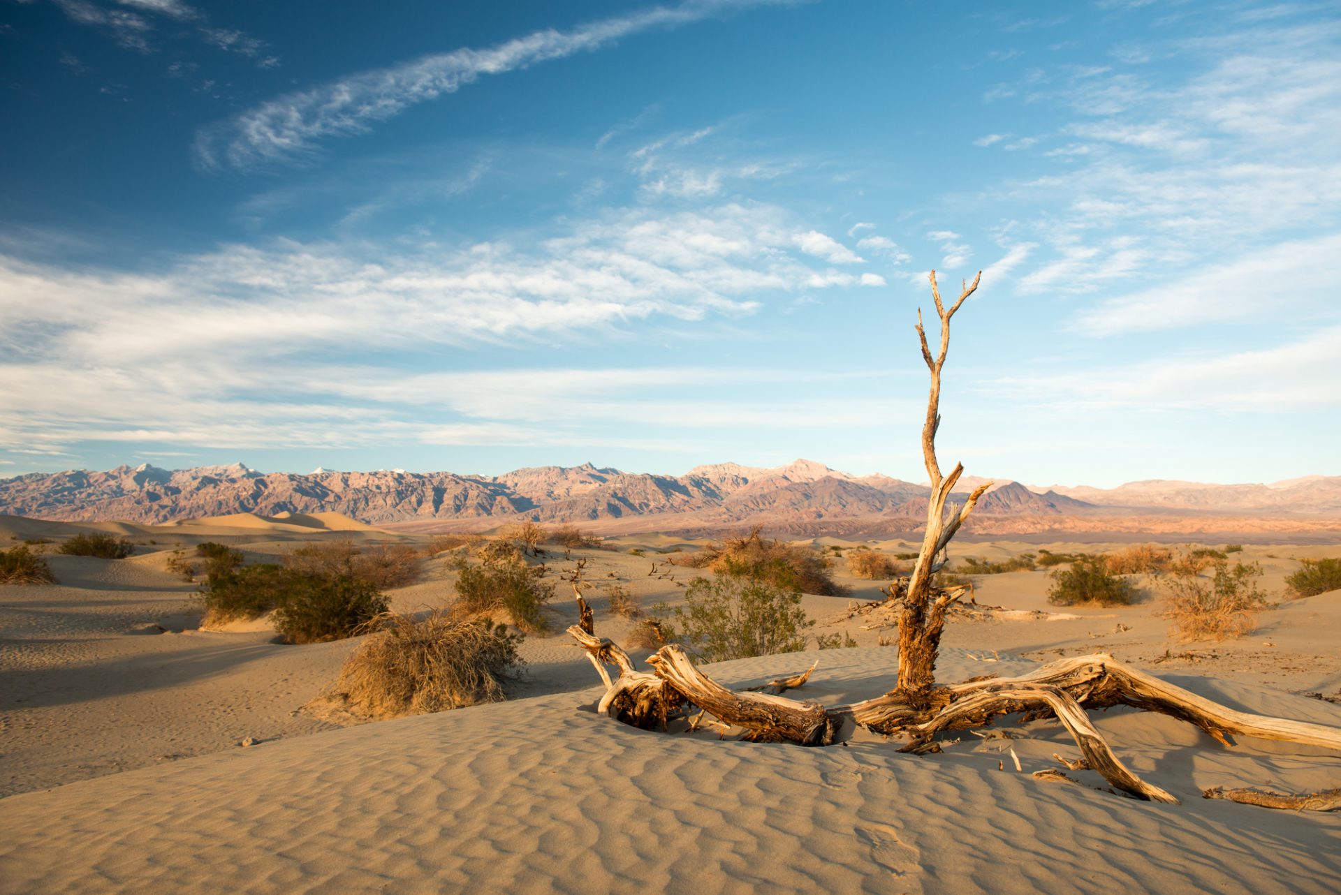 A kaliforniai Death Valley-ben mérték a legmelegebbet. Fotó: Depositphotos