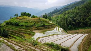 Guangxi Longji rizsteraszok