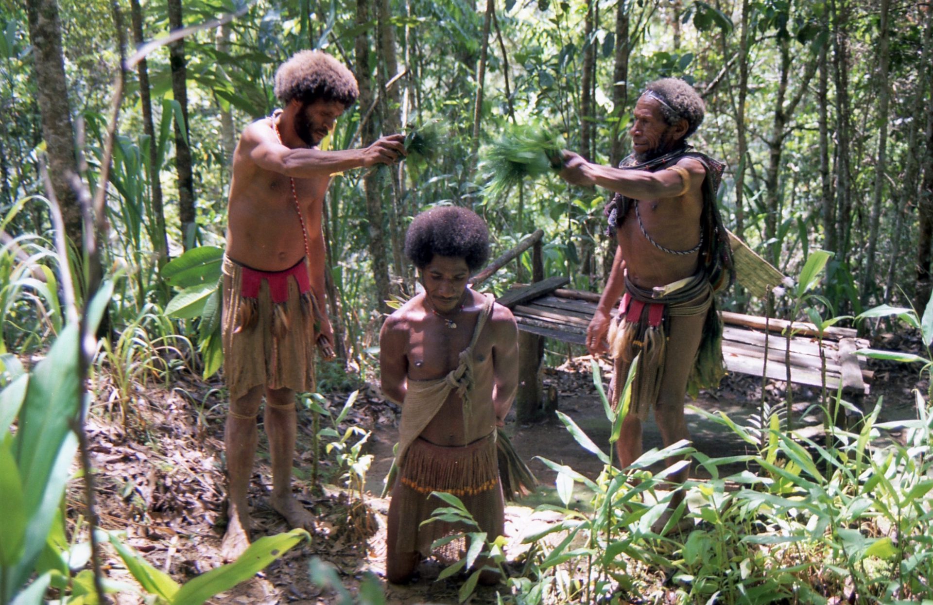 Papua-ujguinea-hajnovesztesi -ceremonia