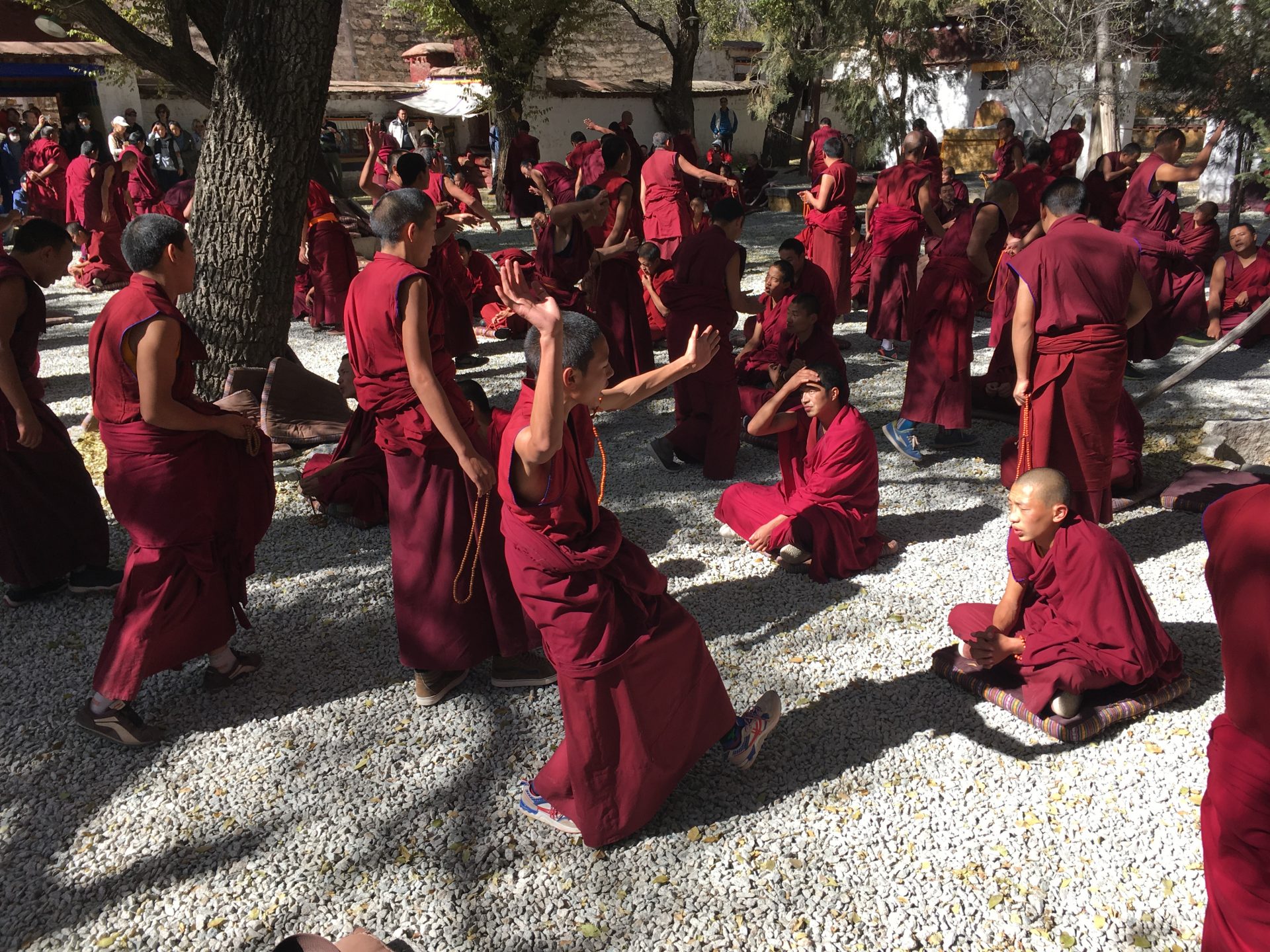 tibet-szerzetesek