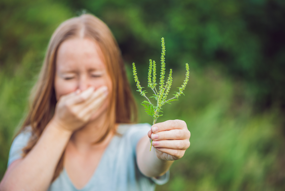 Az allergia megkeseríti sokak életét nyáron