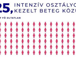Megdöbbentő adatokat közölt a Magyar Orvosi Kamara