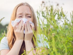 Allergiás vagy a parlagfűre? Ez segíthet!