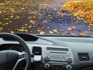 Csúszós út, köd, vizes falevelek – Így lehetsz profi sofőr ősszel is!